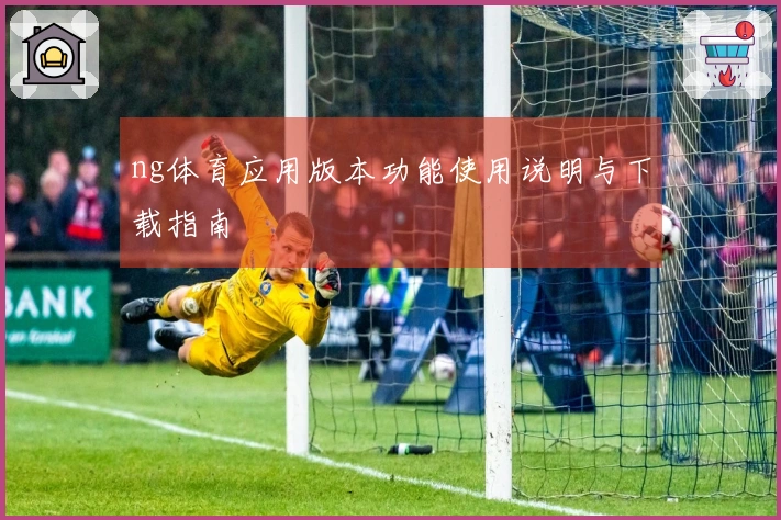 ng体育应用版本功能使用说明与下载指南