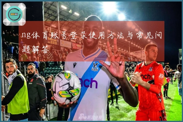 ng体育账号登录使用方法与常见问题解答