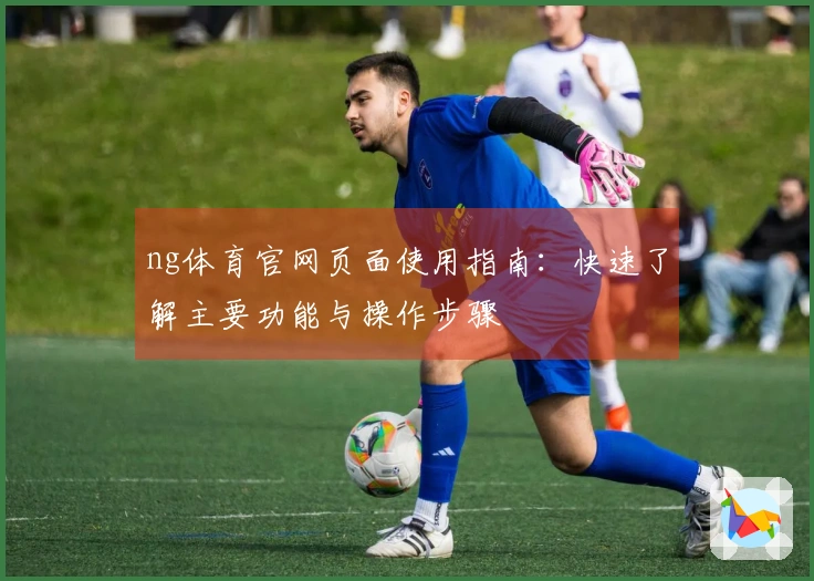 ng体育官网页面使用指南：快速了解主要功能与操作步骤
