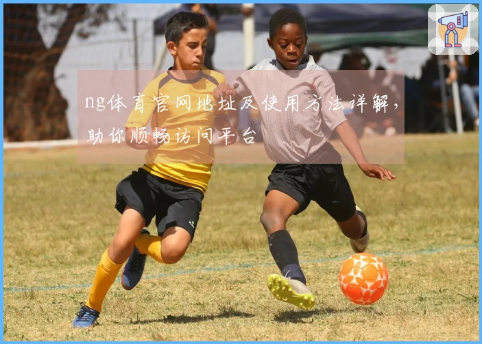 ng体育官网地址及使用方法详解，助你顺畅访问平台